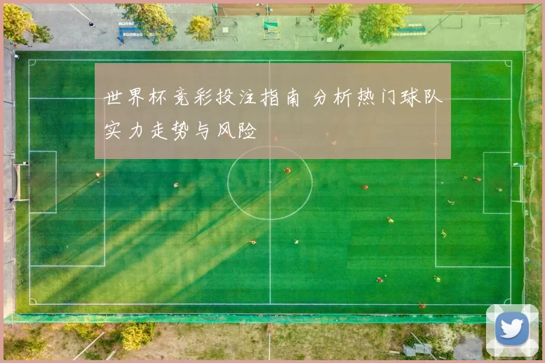 世界杯竞彩投注指南 分析热门球队实力走势与风险