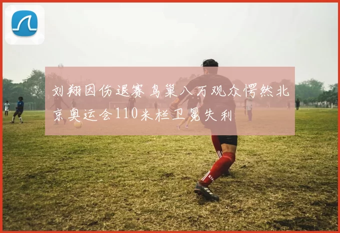 刘翔因伤退赛鸟巢八万观众愕然北京奥运会110米栏卫冕失利