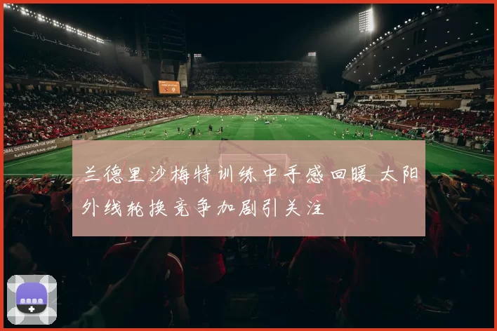 兰德里沙梅特训练中手感回暖 太阳外线轮换竞争加剧引关注
