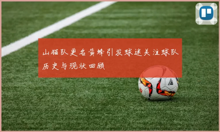 山猫队更名黄蜂引发球迷关注球队历史与现状回顾
