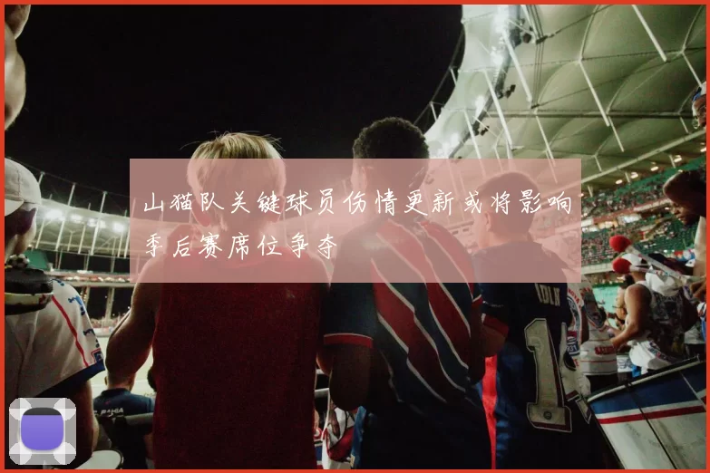 山猫队关键球员伤情更新或将影响季后赛席位争夺