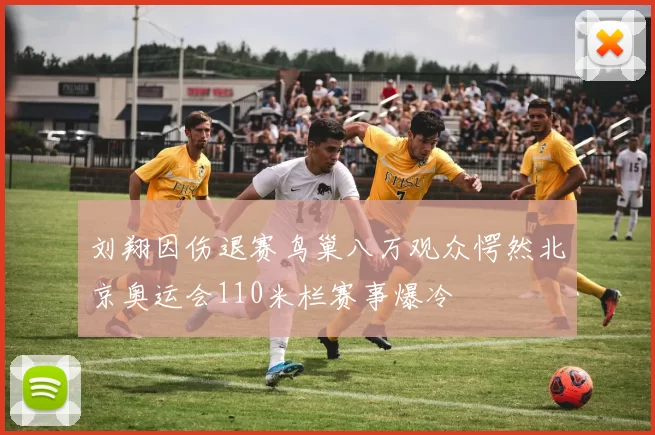 刘翔因伤退赛鸟巢八万观众愕然北京奥运会110米栏赛事爆冷